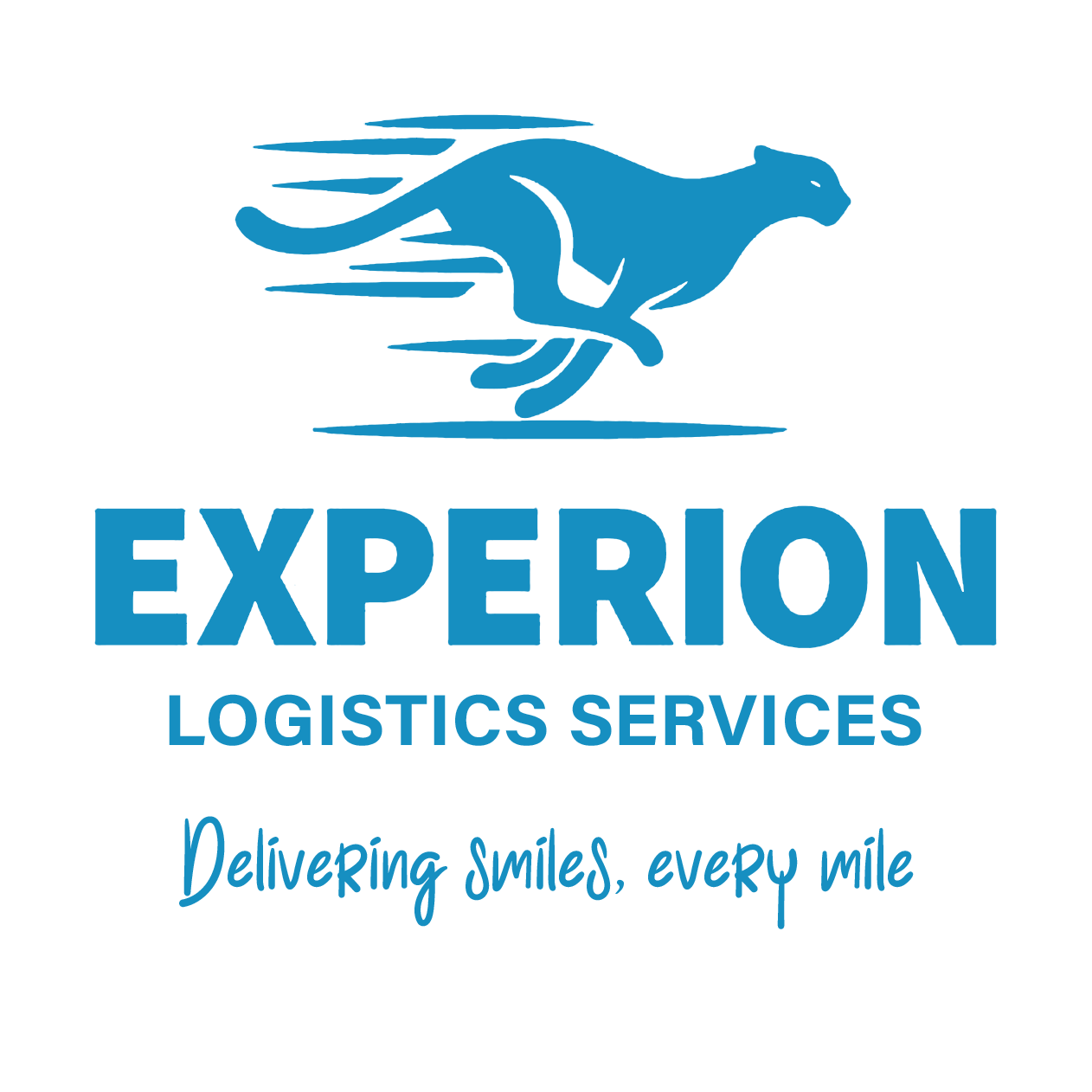 experionservices.com